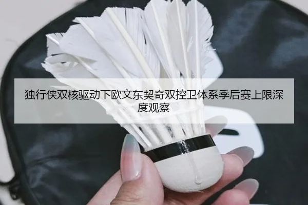 独行侠双核驱动下欧文东契奇双控卫体系季后赛上限深度观察