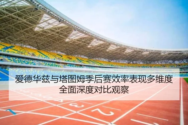 爱德华兹与塔图姆季后赛效率表现多维度全面深度对比观察